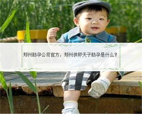 郑州助孕公司官方，郑州供卵天子助孕是什么？