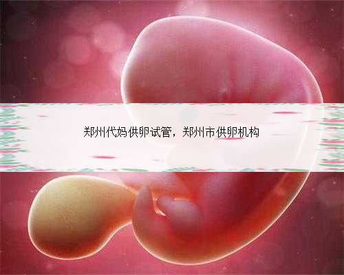 郑州代妈供卵试管，郑州市供卵机构