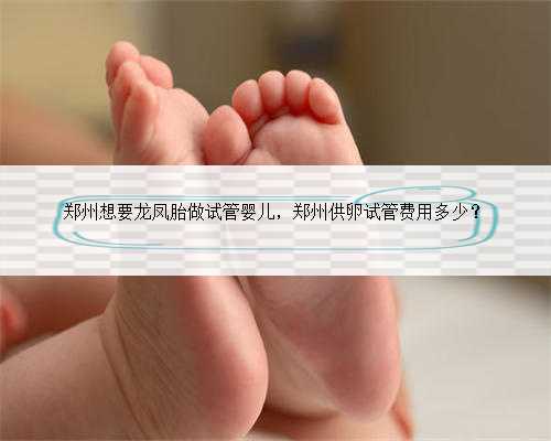 <b>郑州想要龙凤胎做试管婴儿，郑州供卵试管费用多少？</b>