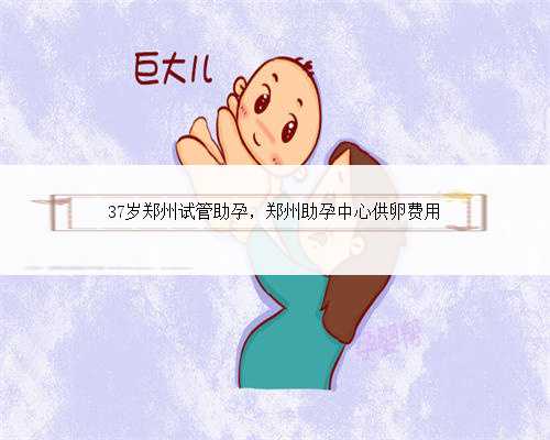 <b>37岁郑州试管助孕，郑州助孕中心供卵费用</b>