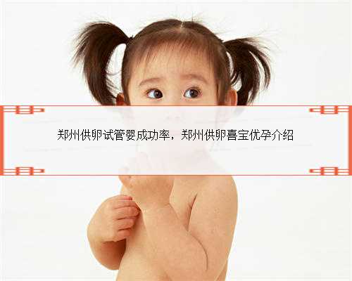 <b>郑州供卵试管婴成功率，郑州供卵喜宝优孕介绍</b>