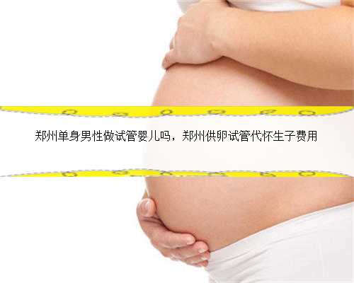 郑州单身男性做试管婴儿吗，郑州供卵试管代怀生子费用