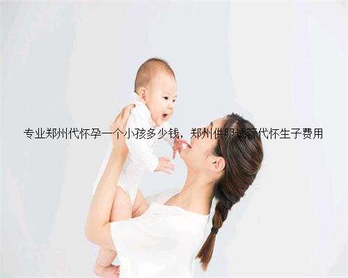 专业郑州代怀孕一个小孩多少钱，郑州供卵试管代怀生子费用