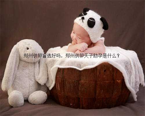 郑州供卵盲选好吗，郑州供卵天子助孕是什么？