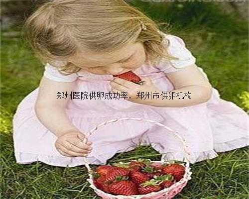 郑州医院供卵成功率，郑州市供卵机构