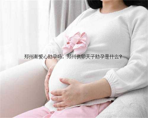 郑州有爱心助孕吗，郑州供卵天子助孕是什么？