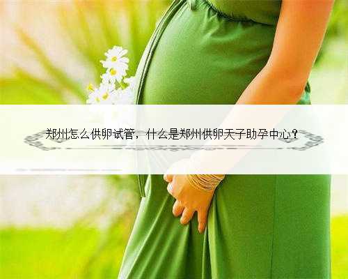 郑州怎么供卵试管，什么是郑州供卵天子助孕中心？
