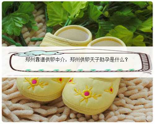 郑州靠谱供卵中介，郑州供卵天子助孕是什么？