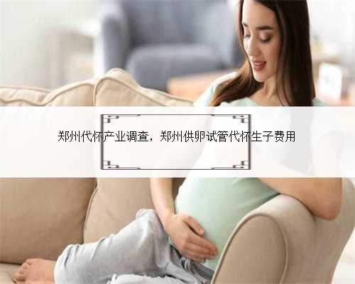 郑州代怀产业调查，郑州供卵试管代怀生子费用