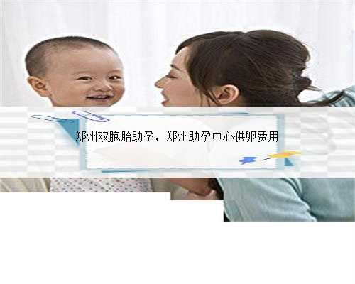 郑州双胞胎助孕