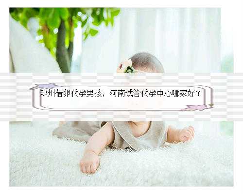 郑州借卵代孕男孩，河南试管代孕中心哪家好？