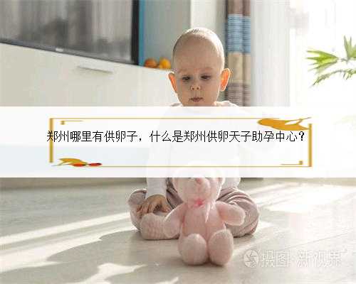 郑州哪里有供卵子，什么是郑州供卵天子助孕中心？
