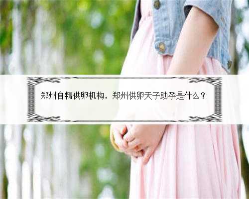 郑州自精供卵机构，郑州供卵天子助孕是什么？