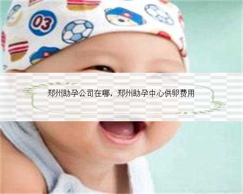 郑州助孕公司在哪，郑州助孕中心供卵费用