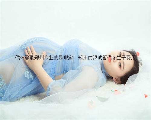 代怀孕最郑州专业的是哪家，郑州供卵试管代怀生子费用