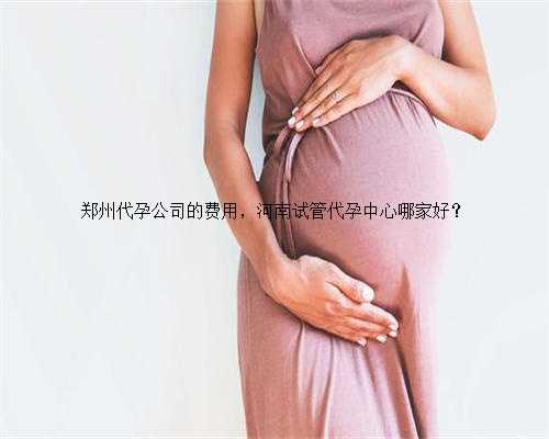 郑州代孕公司的费用，河南试管代孕中心哪家好？