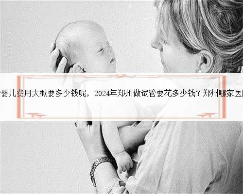 郑州一附院试管婴儿费用大概要多少钱呢，2024年郑州做试管要花多少钱？郑州