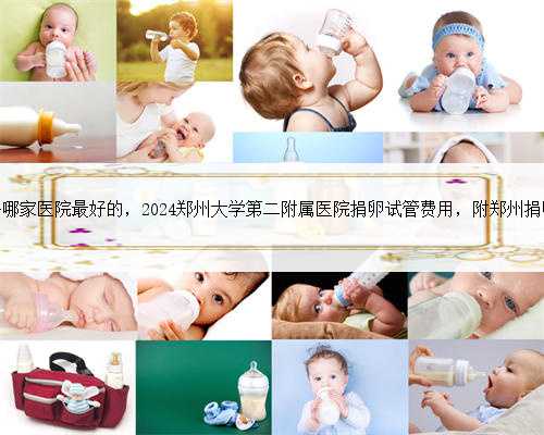 郑州试管婴儿去哪家医院最好的，2024郑州大学第二附属医院捐卵试管费用，附