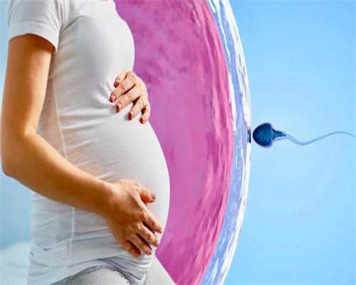 输卵管最短最狭窄的部位_供卵医生北京代怀孕期