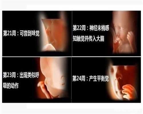 郑州专业代怀孕哪家好—女人多吃5类食物预防乳