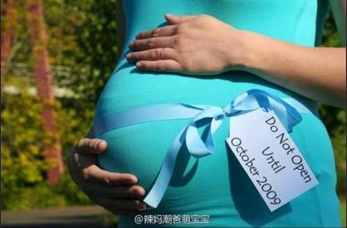 郑州代孕一个宝宝需要多少钱-胎盘屏障
