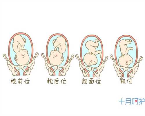 郑州代孕-郑州代孕会不会违法-代孕妇恶心了一周没有反应了正常吗