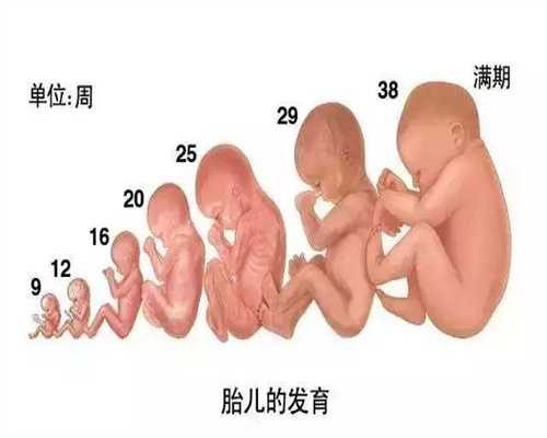 郑州高龄生子_郑州代孕费用是多少_郑州哪里有代孕妈妈找