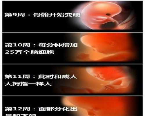 郑州代孕网-郑州如何找代孕的-代孕后腰酸怎么解决
