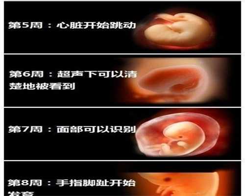 郑州代孕流程-郑州借腹生子-孕期海参怎么吃最好