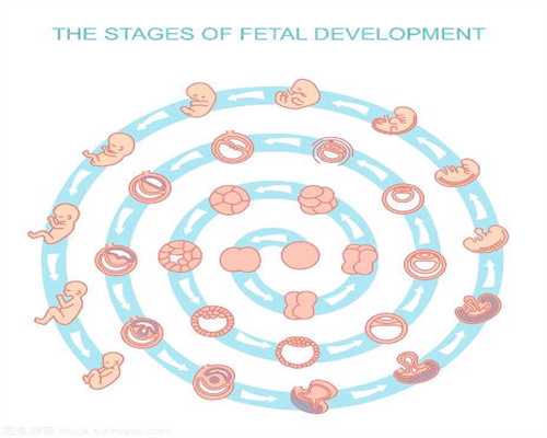 郑州供卵代孕包性别,郑州供卵代孕包性别,女护士给婴儿扎针两次未中 被孩子家