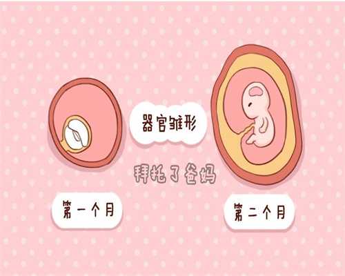 专业郑州怀孕地址_代孕宝宝吃米粉拉肚子怎么办？