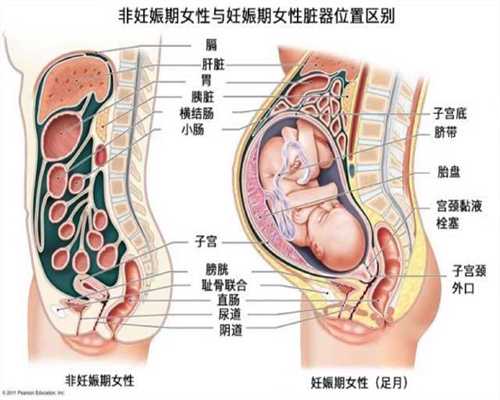 郑州供卵代孕机构,郑州供卵代孕机构,