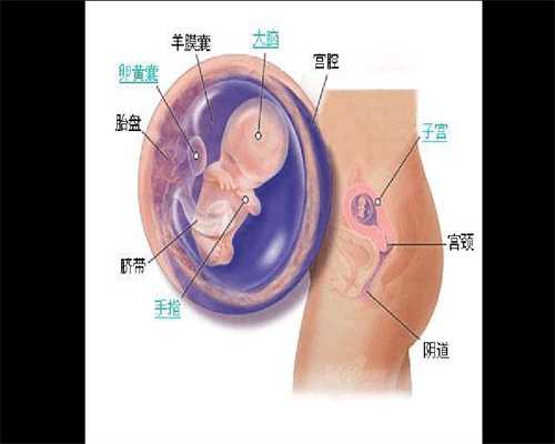 郑州职业怀孕包生子-代孕女性朋友代孕多久会出现反应