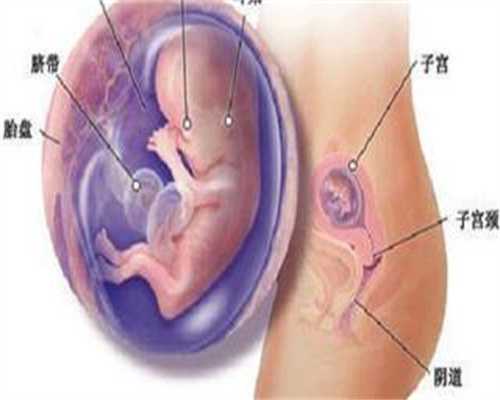 郑州助孕机构哪个好~代孕妈妈胸小奶水就少？谣言是时候该被拆穿了,真相打脸