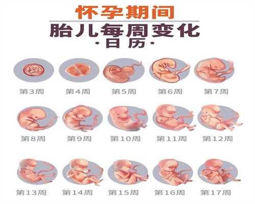 郑州怀孕代孕产子费用_代孕周数血HCG和孕酮的变化范围
