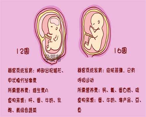 郑州职业怀孕机构-代孕妇能不能用清凉油？