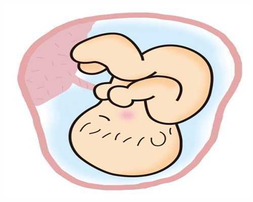 郑州职业怀孕费用表-代孕妇安胎食谱：安胎吃什么食物好