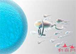 郑州供卵中介费用，试管婴儿知识： 试管婴儿移植后，一定要补充孕激素吗?