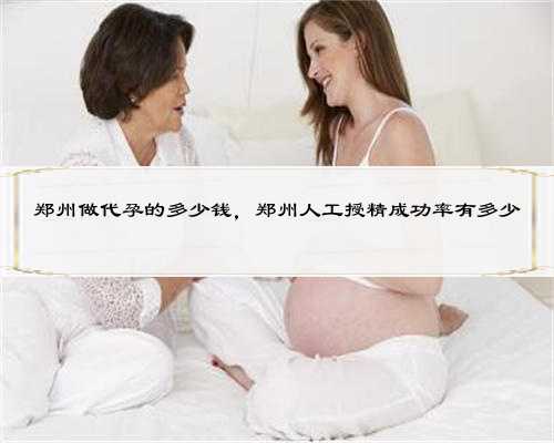 <b>郑州做代孕的多少钱，郑州人工授精成功率有多少</b>